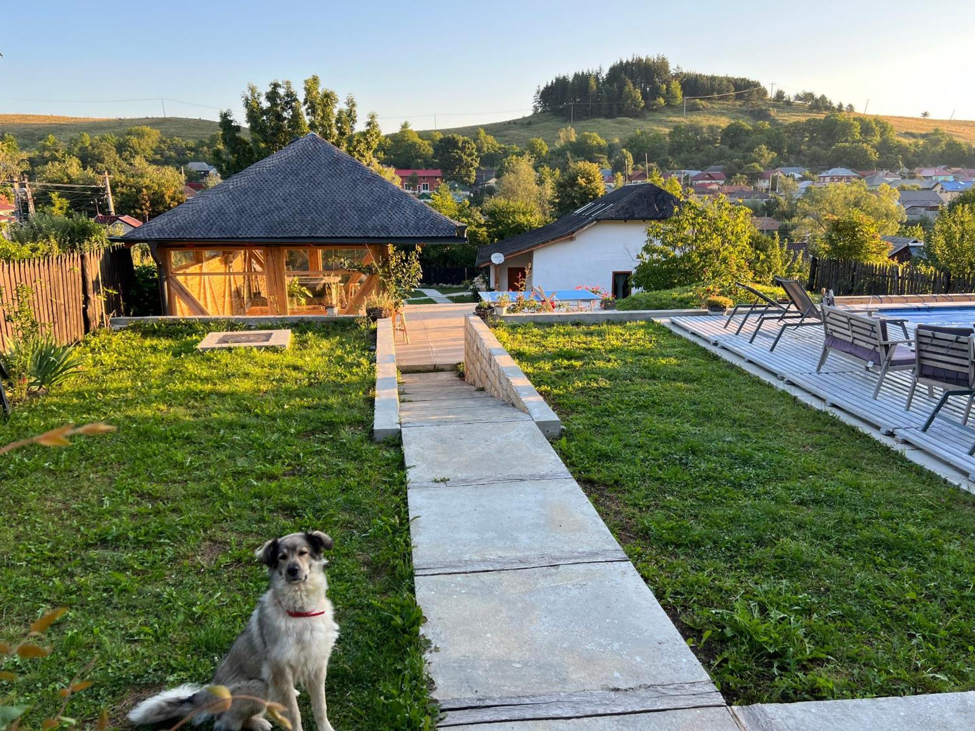 Casa Thymus Villa Soveja Exterior photo